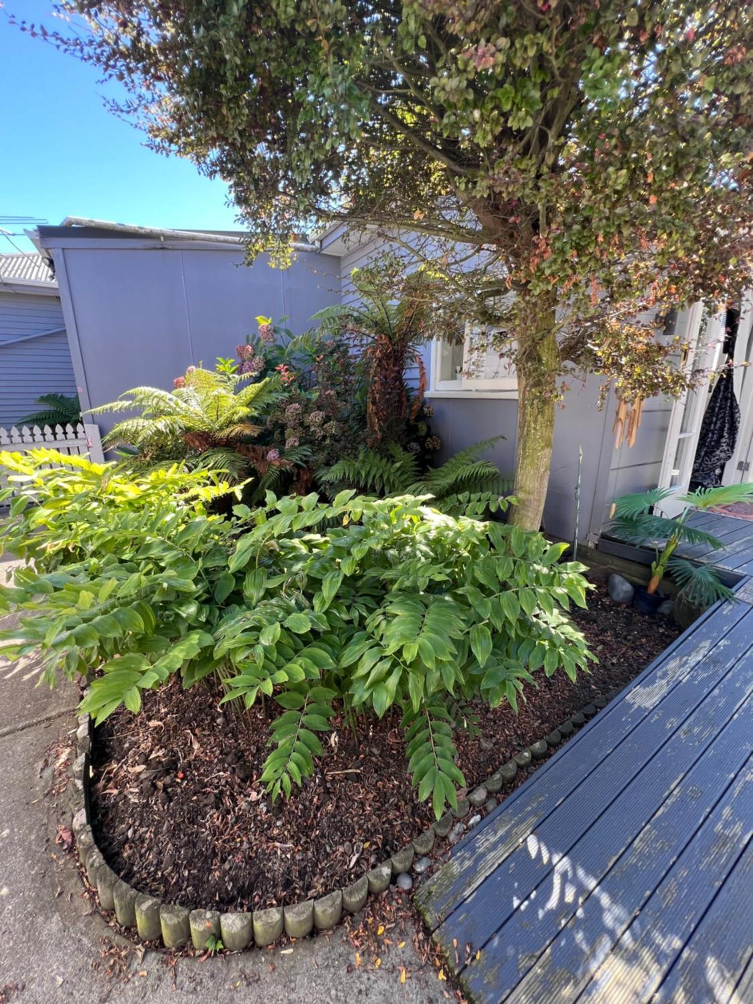 Gorgeous Villa, 7 Minutes From Airport Christchurch Luaran gambar